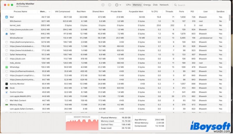 macOS Sequoiaでメモリリークが発生する原因と解決策を完全解説