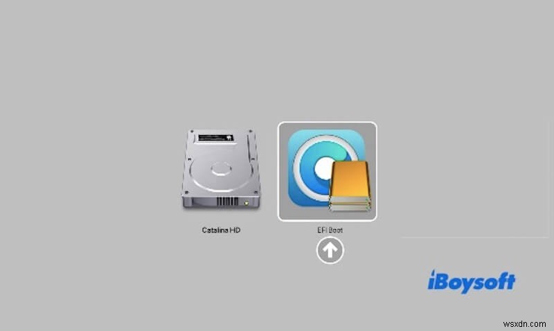 2012年Mac miniをmacOS Big Surにアップグレードする完全ガイド|OpenCore Legacy Patcherの使い方