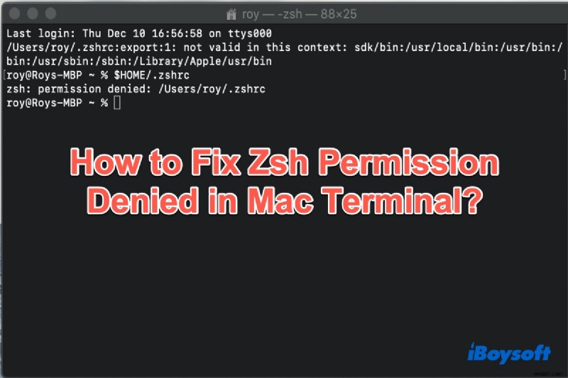 【保存版】bash/zshの「cd: too many arguments」エラーの原因と5つの簡単な解決策