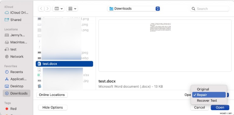 テキスト回復コンバーターを使ってMac・Windowsで破損したWord文書を復元する方法