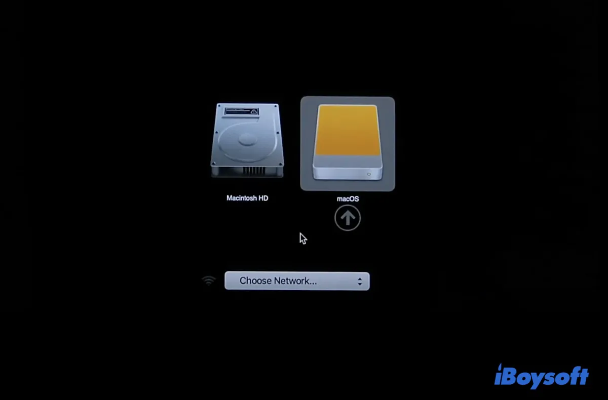 Windows 10/11でmacOS起動可能USBを作成する方法【初心者向け完全ガイド】