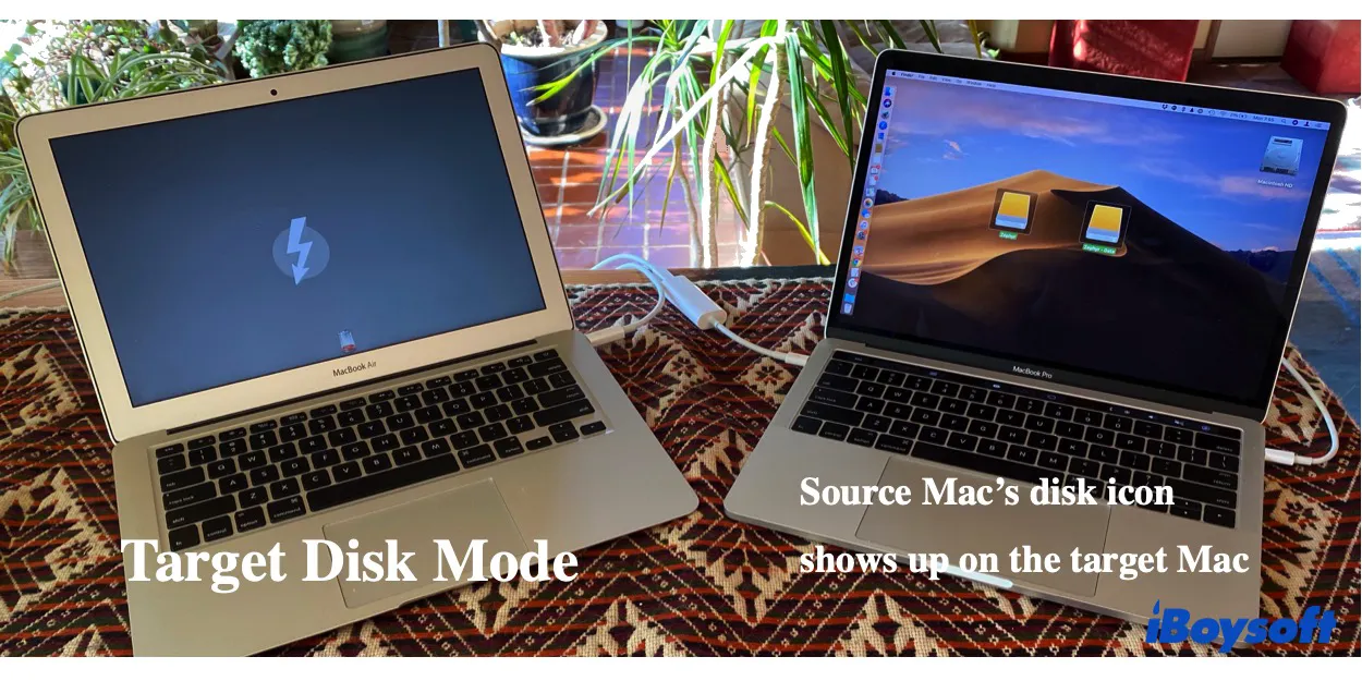 Macの移行アシスタントが動かない・固まる時の対処法|症状別トラブルシューティングガイド