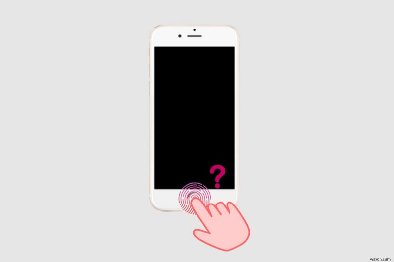 iPhone 11にTouch IDは搭載されている?指紋認証ロック解除のすべてを徹底解説
