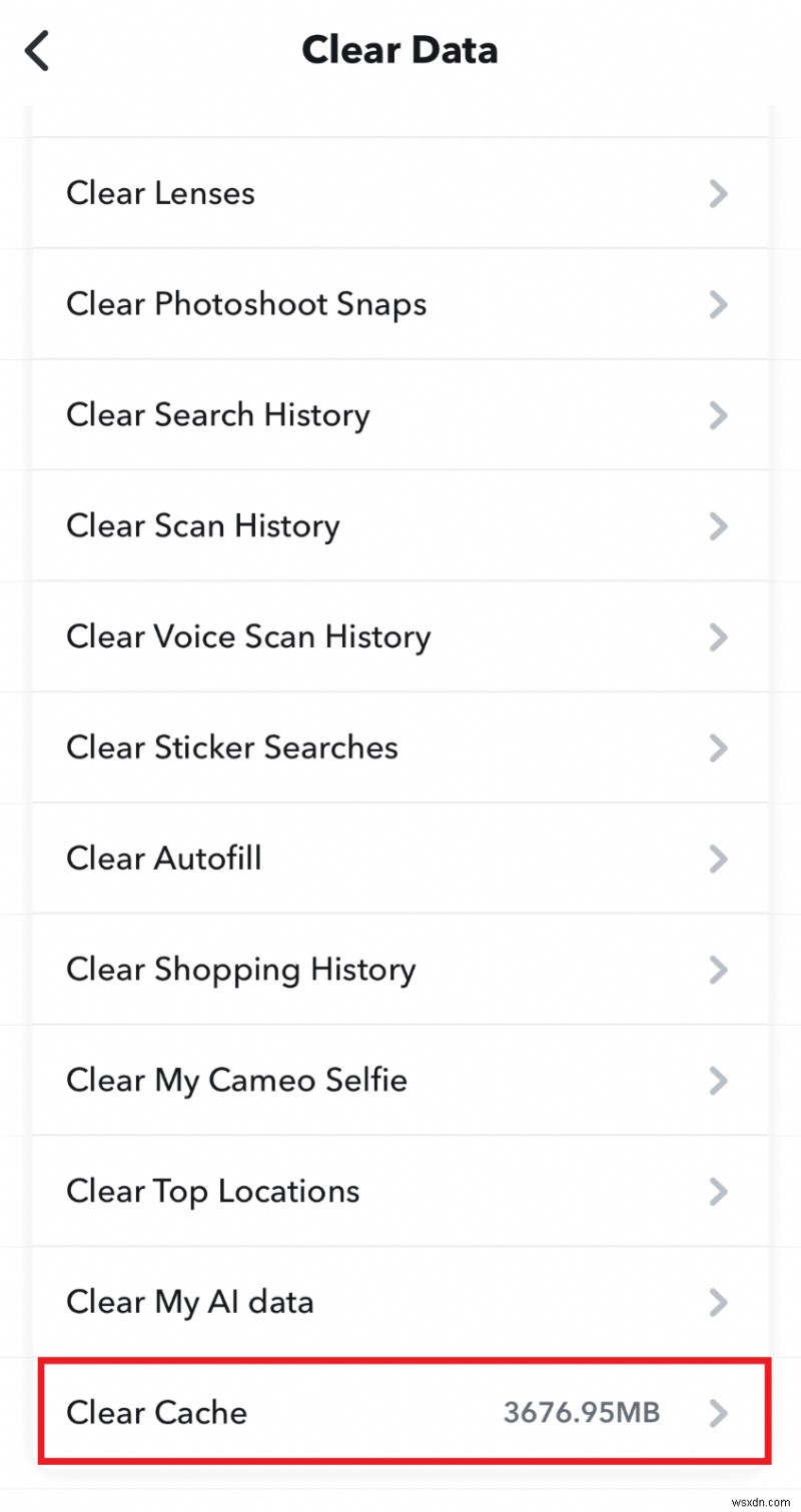 iPhoneでSnapchatのデータを削除する方法|ストレージとアプリの動作を改善する3つのコツ