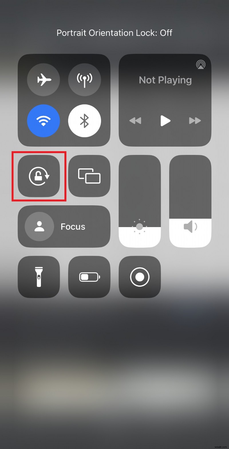 iPhoneの画面を回転する方法|初心者でもわかる完全ステップバイステップガイド