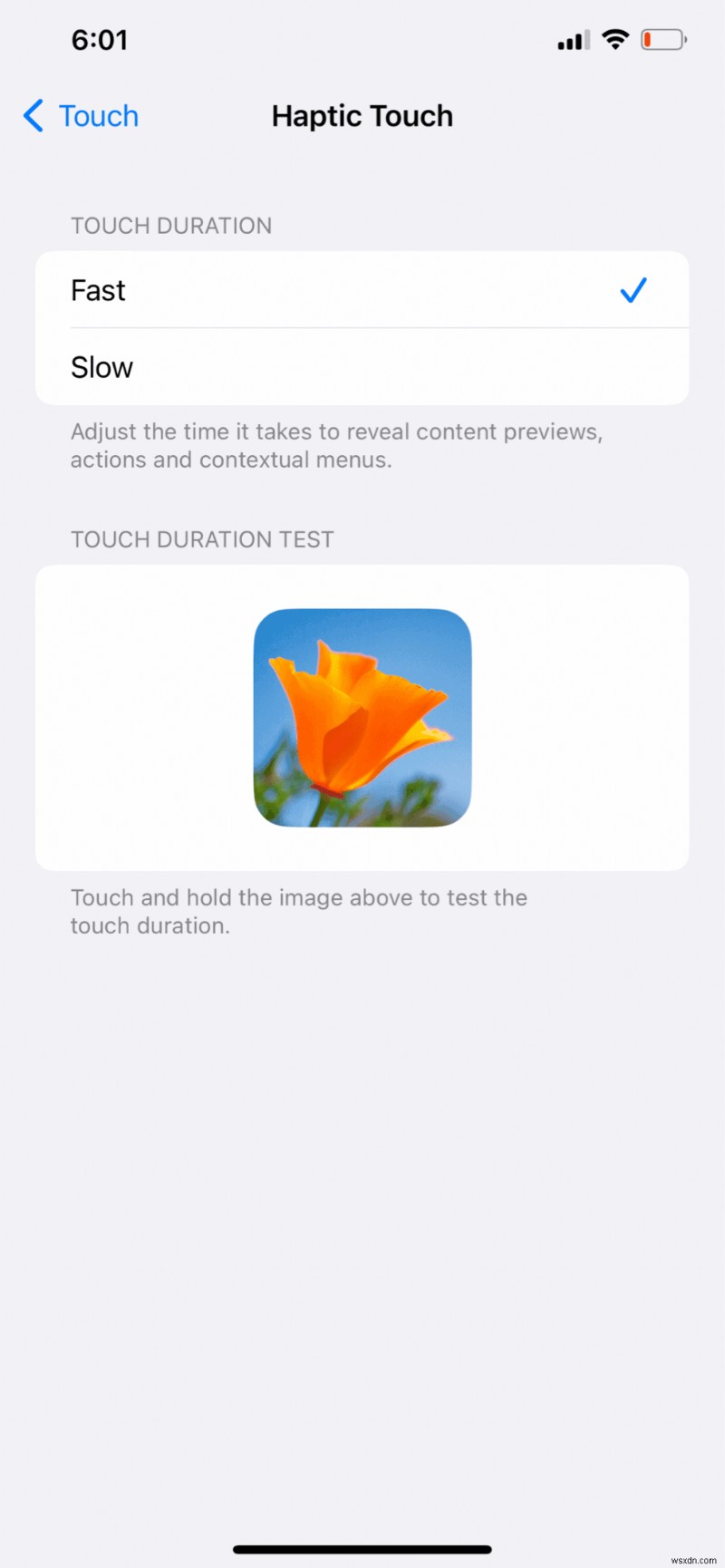 【保存版】iPhone 11のゴーストタッチを数分で解決！画面交換は不要な13の対処法