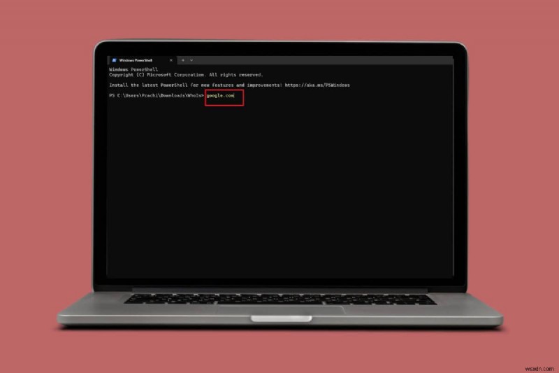 コマンドプロンプトでWindowsのWHOISルックアップを実行する方法