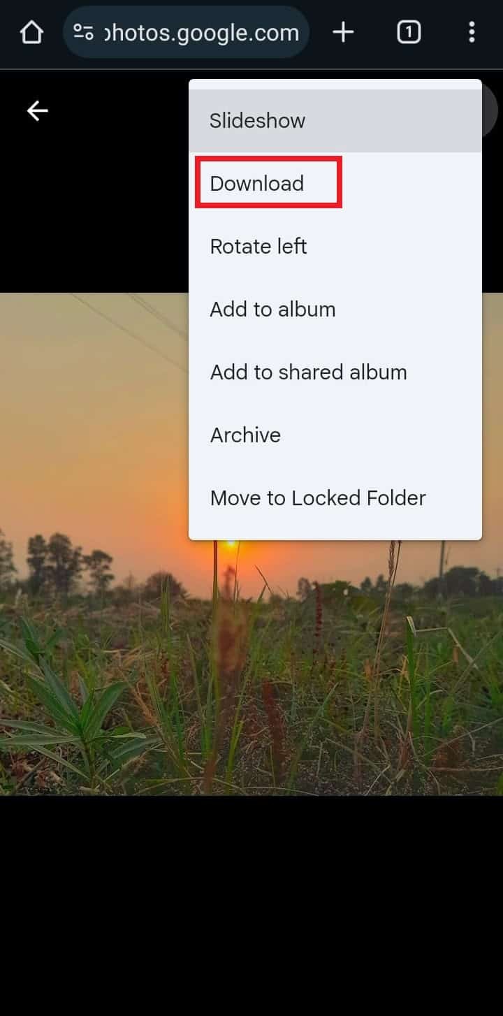 Googleフォトのバックアップ写真を見る方法!スマホ・PC別のアクセス手順を徹底解説