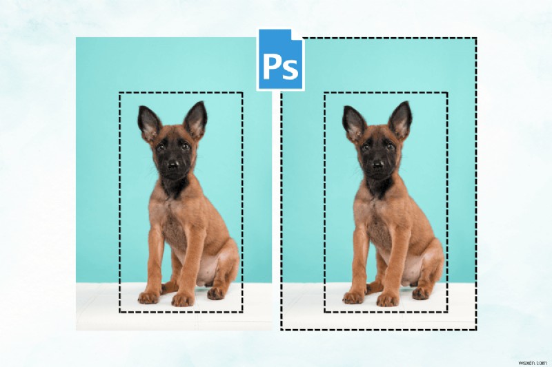 Photoshopで選択範囲を反転する3つの確実な方法|ショートカットあり・なし完全解説