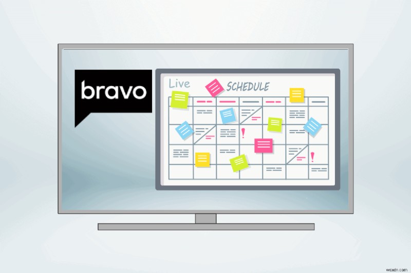 【保存版】Bravo TVのライブスケジュールと一気見ガイド｜アプリ導入からログインまで徹底解説