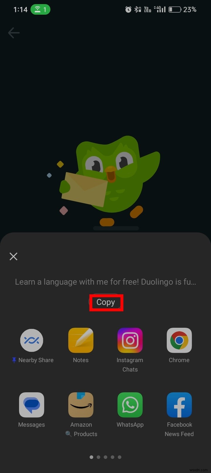 Duolingo(デュオリンゴ)で友達を追加する方法!PC・Android対応の完全ステップガイド