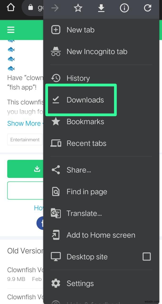 AndroidでClownfish Voice Changerをダウンロードする方法|初心者向けステップバイステップガイド