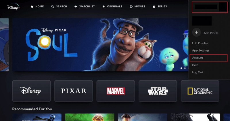 Disney+(ディズニープラス)アカウントから不正利用者をすぐに削除する方法【パスワード変更など3つの対処法】