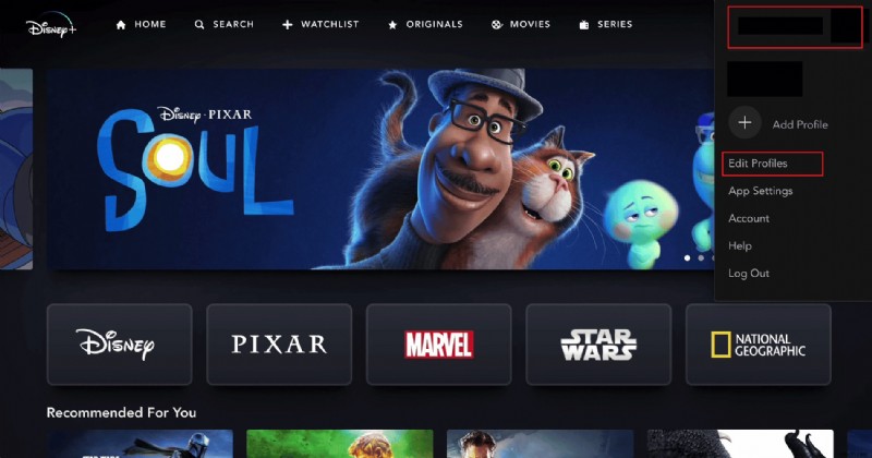 Disney+(ディズニープラス)アカウントから不正利用者をすぐに削除する方法【パスワード変更など3つの対処法】