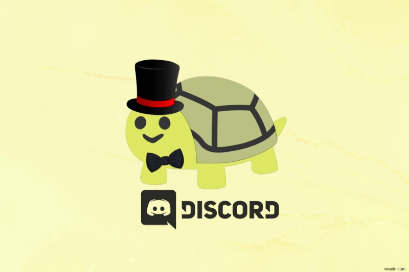 DiscordにTurtle Botを追加して使いこなす方法｜導入手順とコマンドを徹底解説