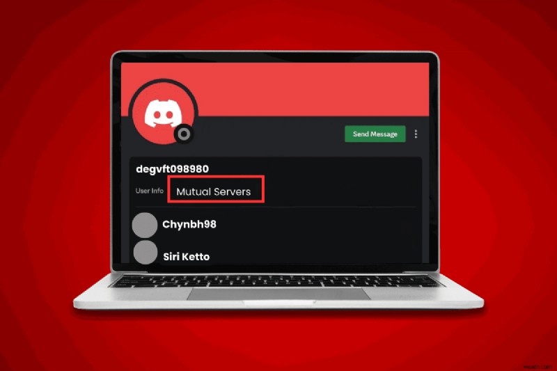ユーザーがどのDiscordサーバーに所属しているか確認する方法【完全ガイド】