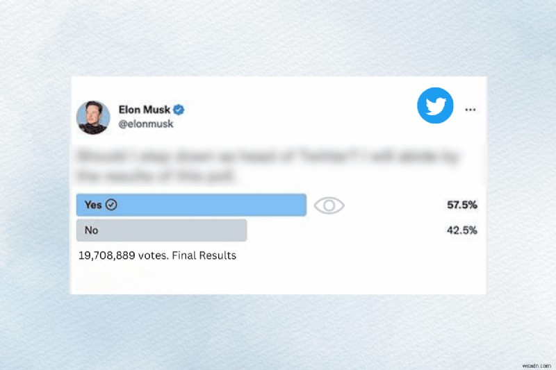 Twitterの投票で誰が投票したか確認する方法｜ステップバイステップ解説
