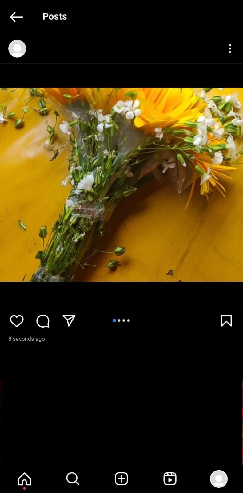 Instagramで横位置写真と縦位置写真を1つの投稿に混在させる方法|ステップバイステップガイド