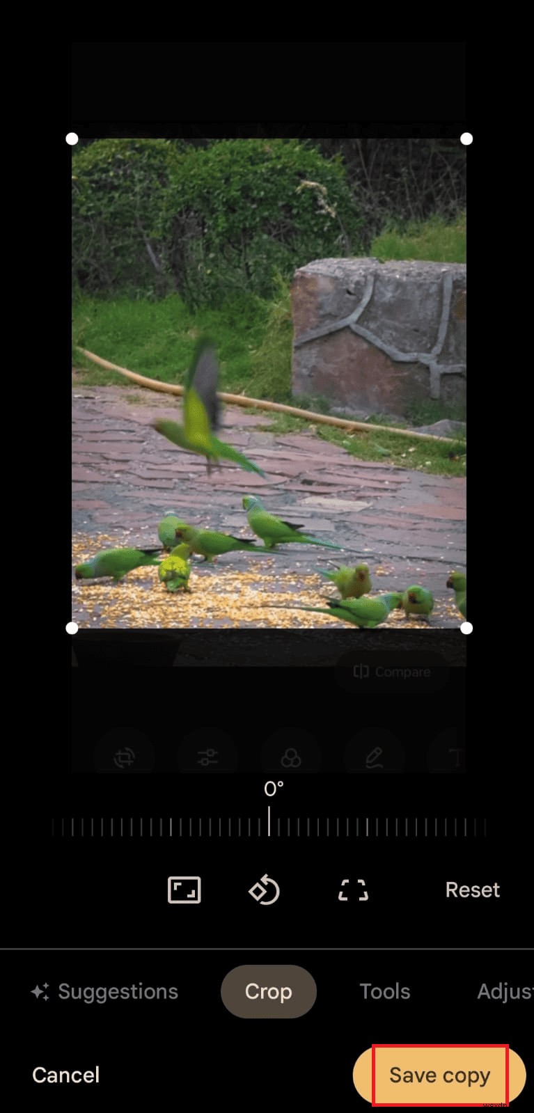 Androidで写真のサイズを素早く変更する方法|ステップバイステップ完全ガイド