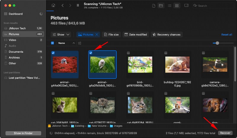 Macで削除した写真を復元する方法|実証済みの4つの復元テクニック
