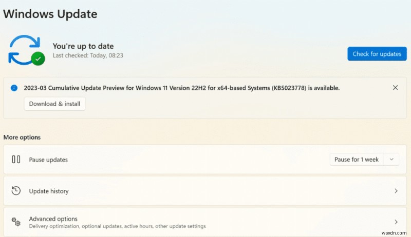 Windows 11 PCの過熱を解決する方法|専門家おすすめの対処法