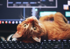 LinuxCatコマンドの使用方法 