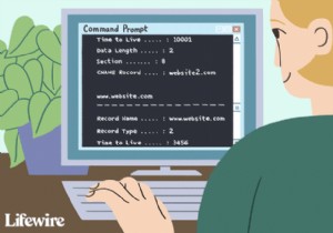 DNSキャッシュとは?仕組みからキャッシュポイズニング対策・フラッシュ方法まで解説