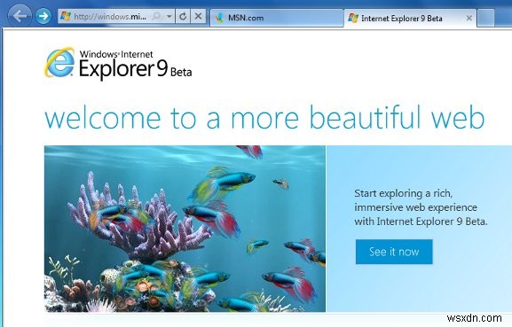 InternetExplorer9ベータレビュー 