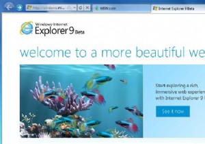 InternetExplorer9ベータレビュー 