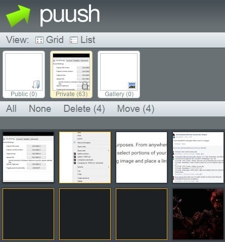 スクリーンショットをPuu.shで簡単に取得して共有できます 