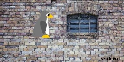 LinuxとWindows：両方のオペレーティングシステムの客観的考察 