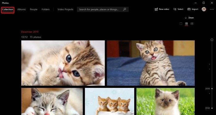 Windows10の写真アプリで写真を整理する方法 