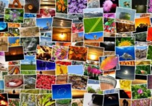 Windows10の写真アプリで写真を整理する方法 