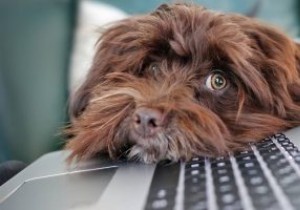 Windowsでキーロガーを検出する方法|タスクマネージャーからキーストローク暗号化まで徹底解説