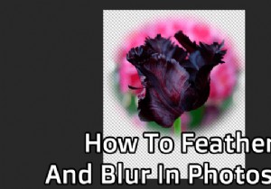 Photoshopでぼかしとぼかしを行う方法 