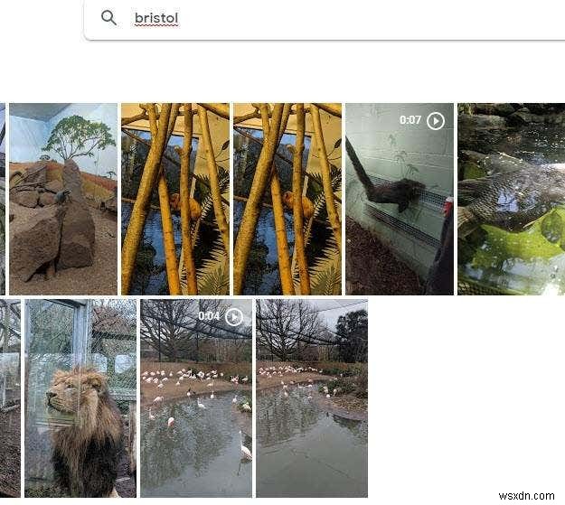 Googleフォトで利用できる強力な写真検索ツールの使用方法 