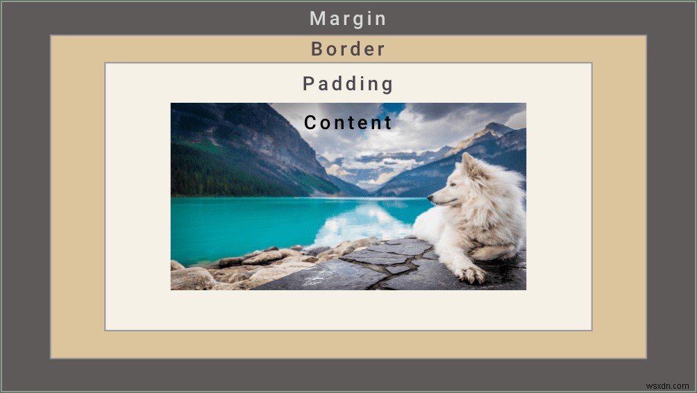 CSSパディングとマージン：違いを見分ける方法 