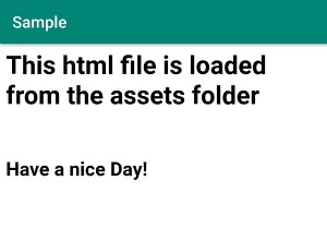 AndroidのアセットディレクトリからWebViewにファイルをロードする方法は？ 