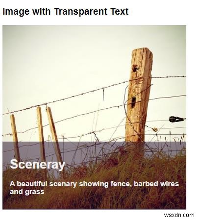 CSSを使用して透明な背景テキストで画像を作成するにはどうすればよいですか？ 