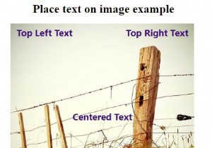 HTMLとCSSを使用して画像の上にテキストを配置するにはどうすればよいですか？ 