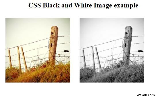 CSSで白黒画像を作成するにはどうすればよいですか？ 