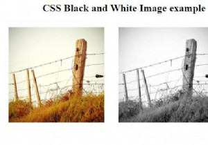 CSSで白黒画像を作成するにはどうすればよいですか？ 