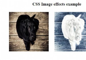 CSSを使用して画像に視覚効果を追加するにはどうすればよいですか？ 