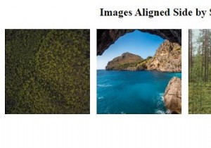 CSSと画像を並べて配置するにはどうすればよいですか？ 