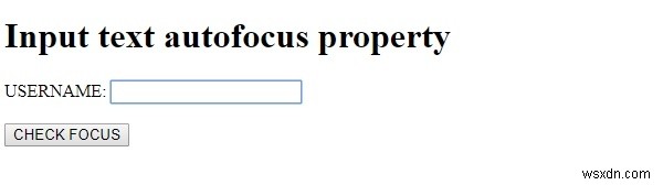 HTMLDOM入力テキストオートフォーカスプロパティ 