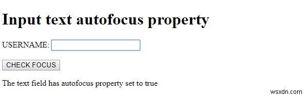 HTMLDOM入力テキストオートフォーカスプロパティ 