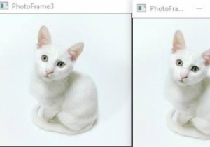 イメージアレイとは何ですか？ C++の例で説明する 