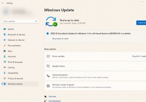 .NET Frameworkインストール時にエラーコード0x80071AB1が表示される？Windows 11で使える5つの解決策を徹底解説