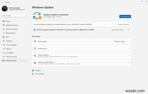 Windows11でランタイムエラーを修正する方法 