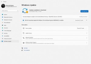 Windows11でランタイムエラーを修正する方法 